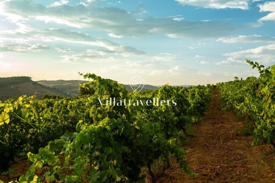 Natural landscape