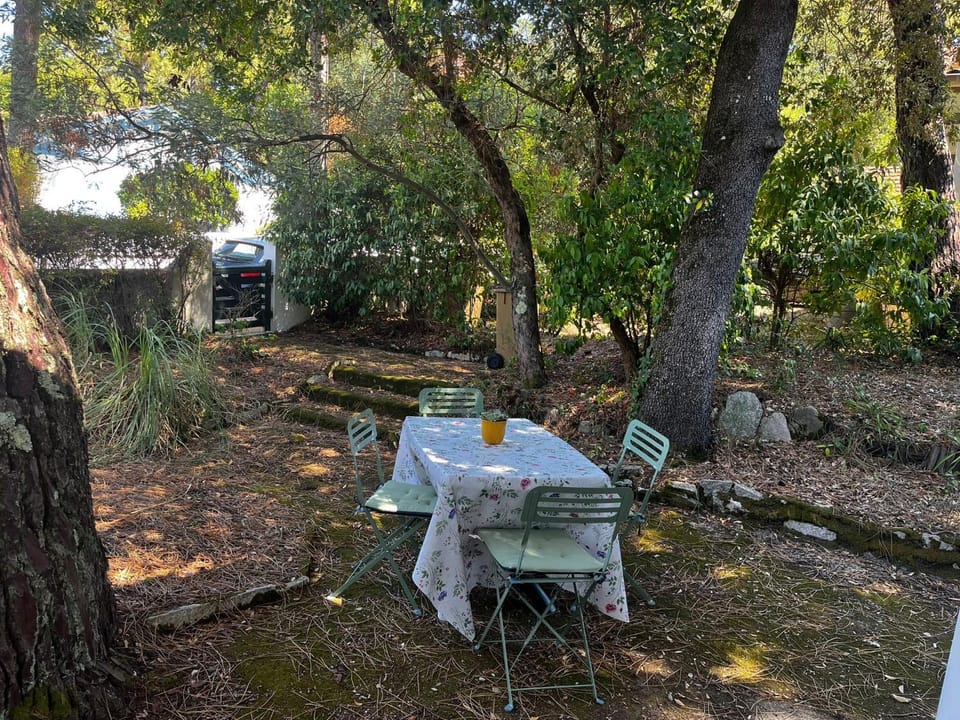 La petite maison du Moulleau House in Arcachon