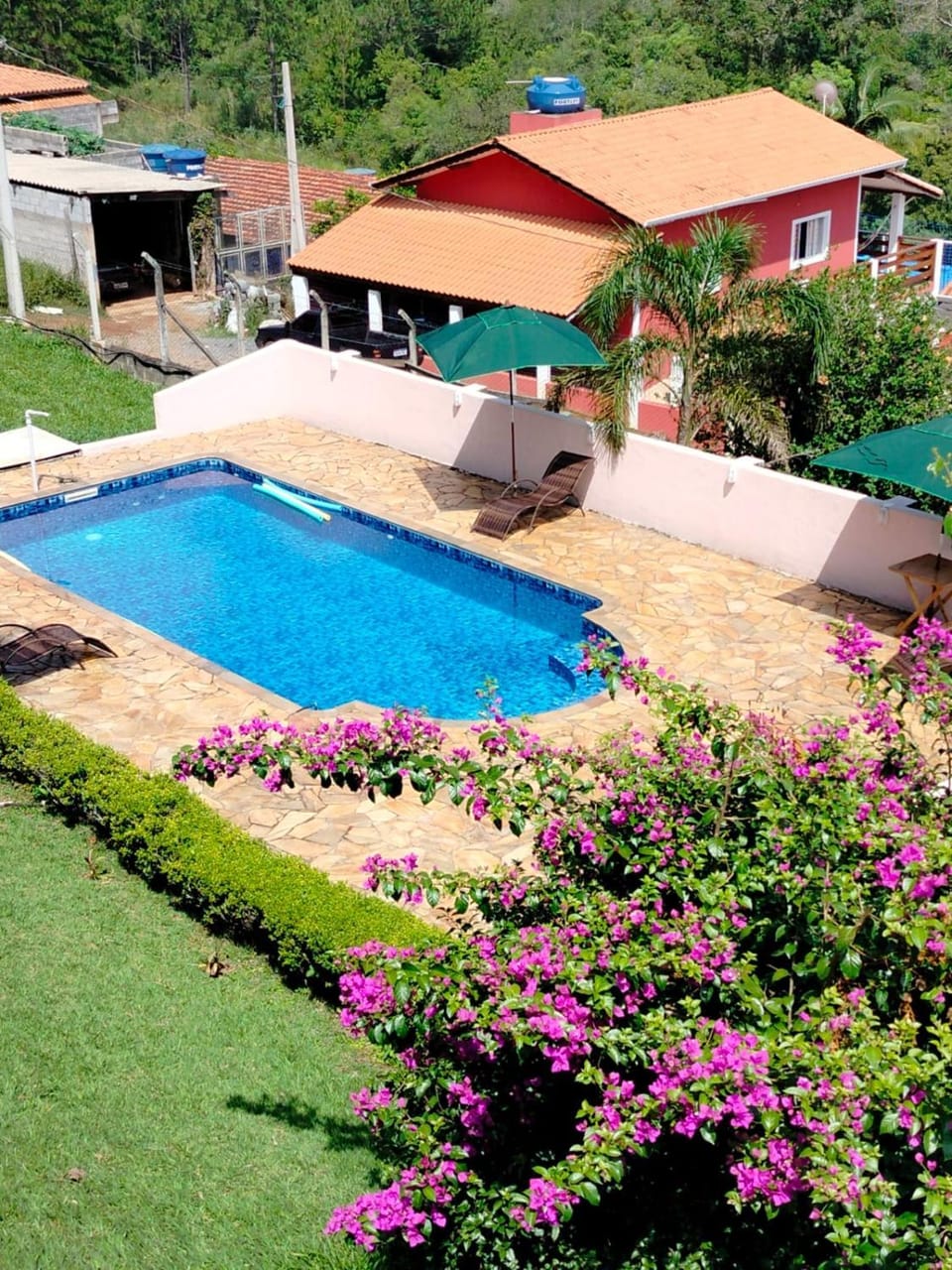 Pool view
