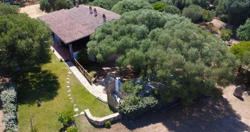 Natural landscape, Bird's eye view, Garden view