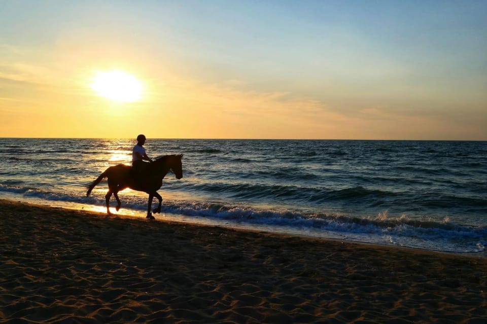 Résidence des Fleurs - Les Escapades Cosy - 1 à 4 personnes Apartment in Cabourg