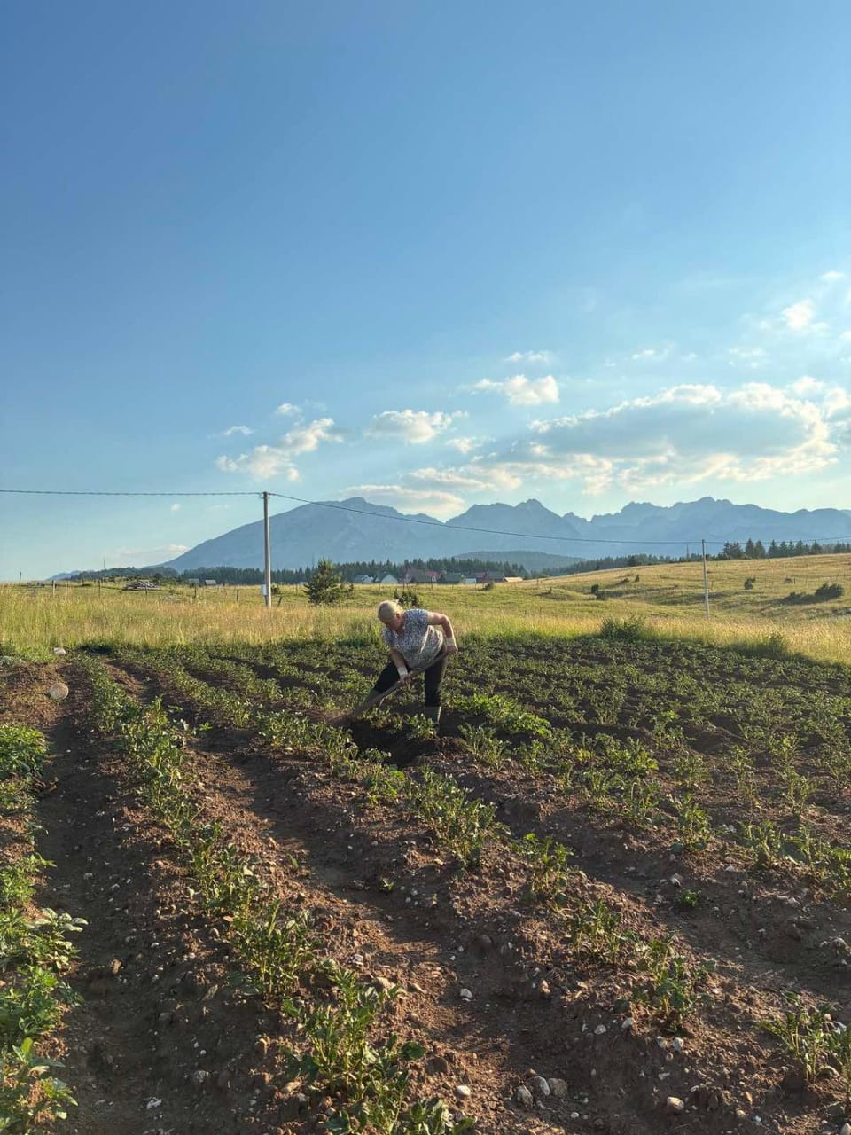 Farm stay La NOSTRA CASA Farm Stay in Montenegro
