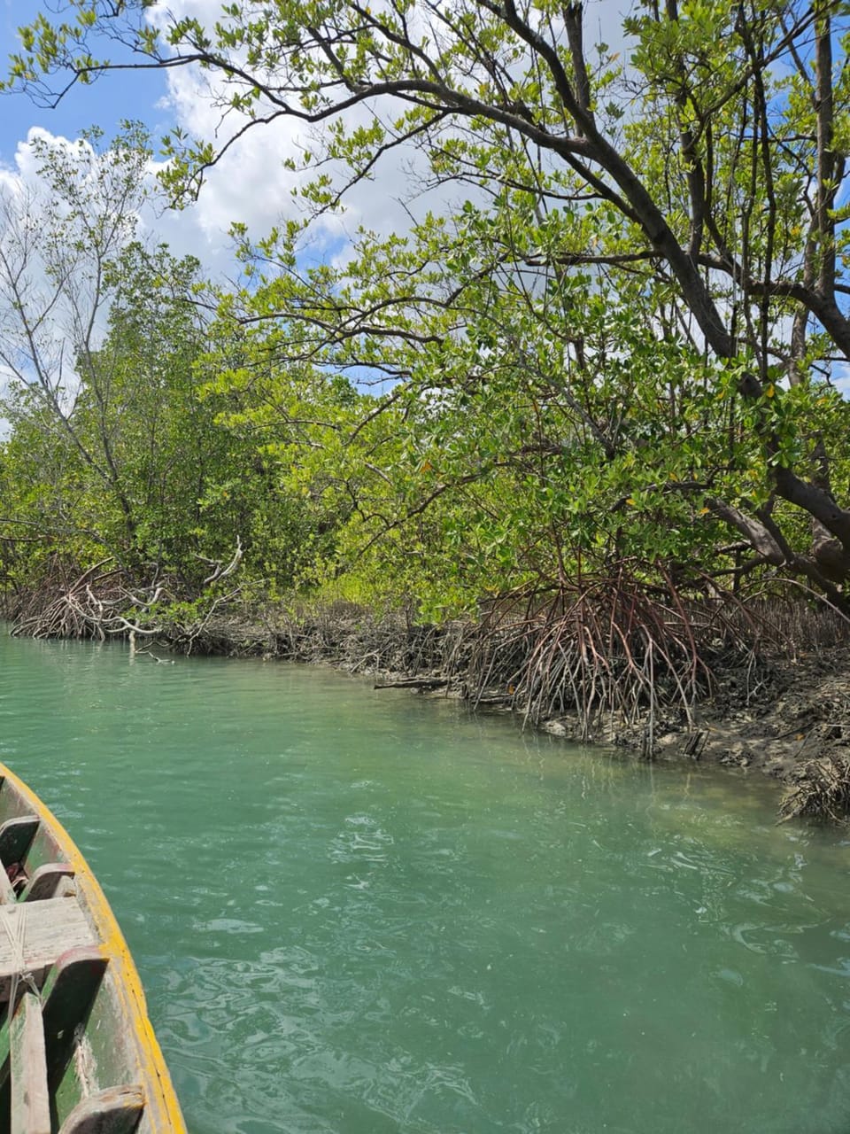 Canoeing