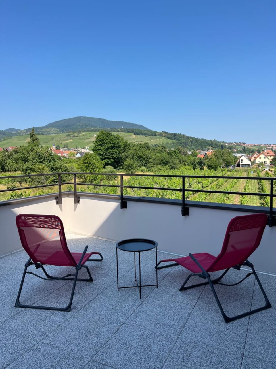 La Terrasse du Vignoble - Garage et parking privatifs Apartment in Grand Est