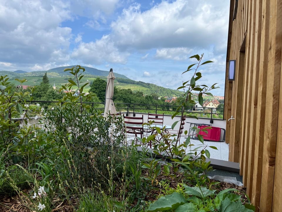 La Terrasse du Vignoble - Garage et parking privatifs Apartment in Grand Est