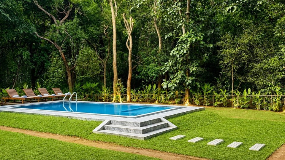 Garden, Pool view, Swimming pool, Swimming pool, sunbed