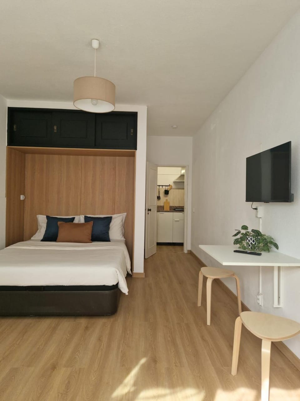 Bed, TV and multimedia, Kitchen or kitchenette, Living room, Photo of the whole room, Seating area, Bedroom