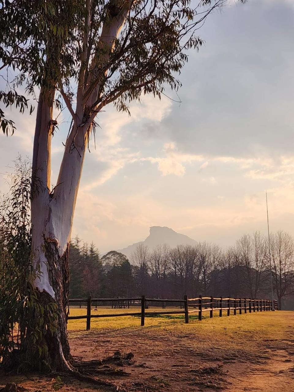 Natural landscape