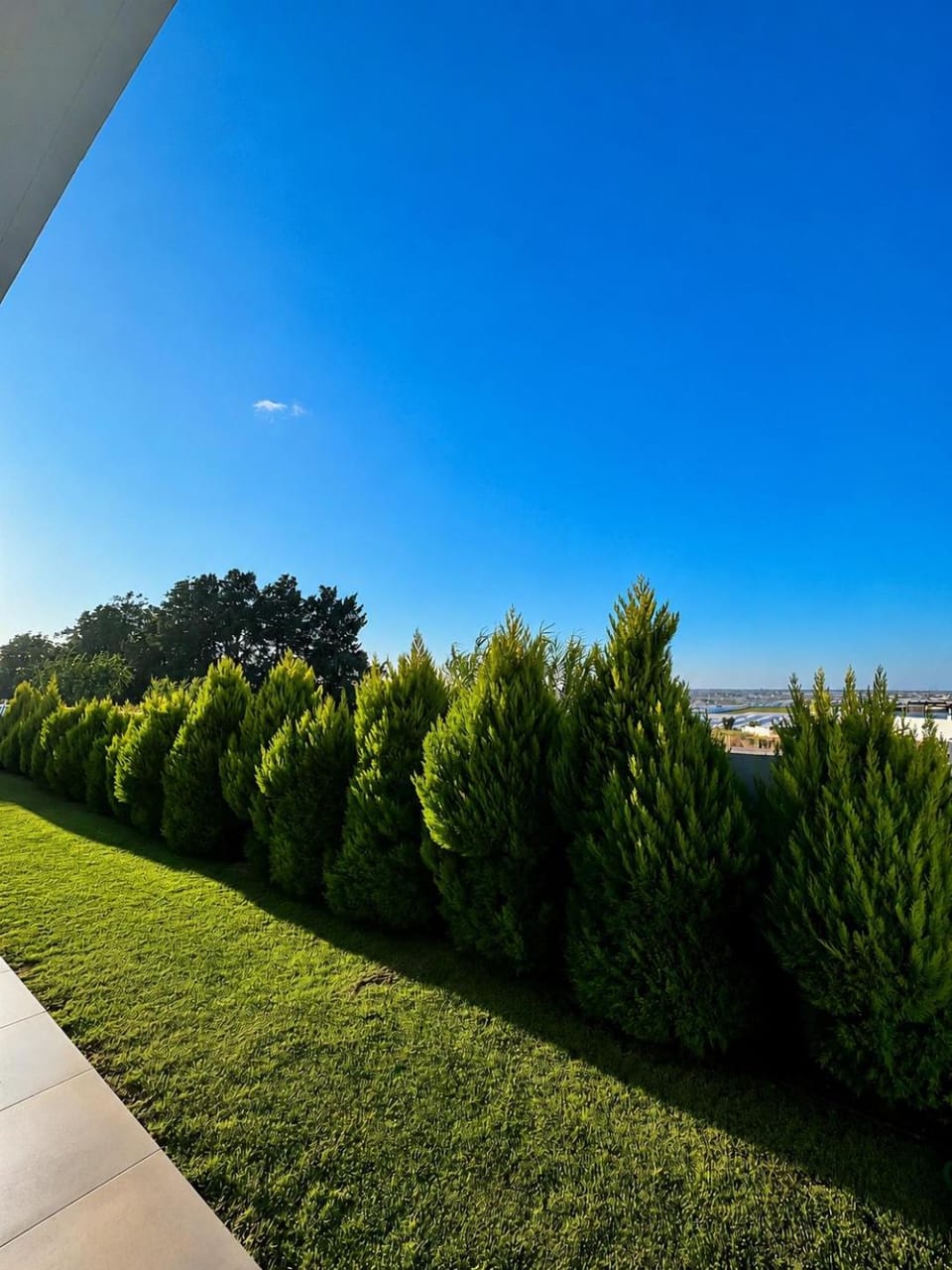 Puesta de Sol Doñana Adults Only Apartment in Sanlúcar de Barrameda