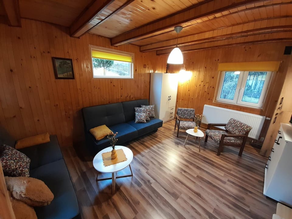 DOMEK Łapalice Kaszuby House in Pomeranian Voivodeship