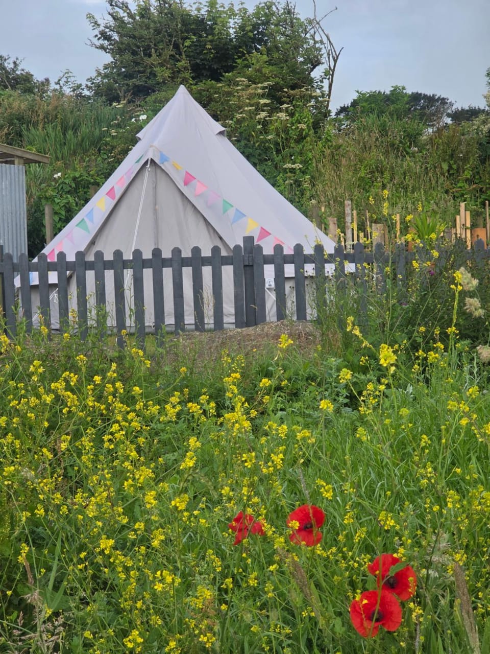 Emilies Bell Tent Campground/ 
RV Resort in England