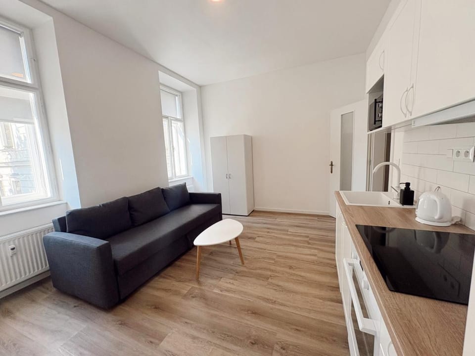 Kitchen or kitchenette, Living room, Seating area, Dining area, stove