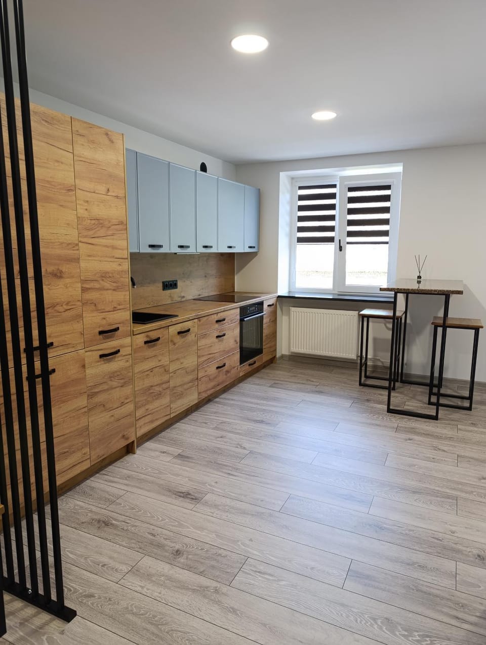 Alytus Miško studio Apartment in Lithuania