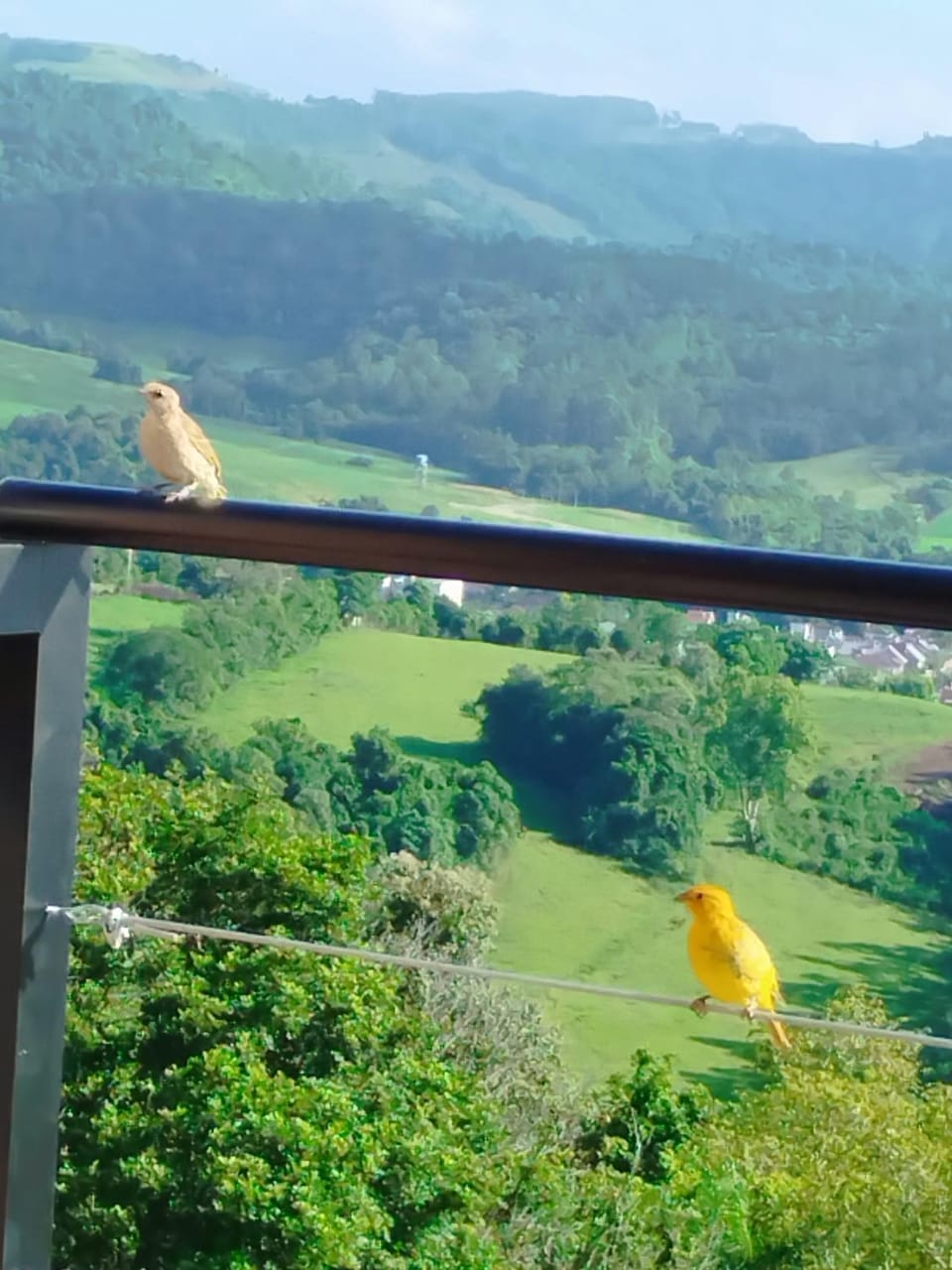 Mountain view