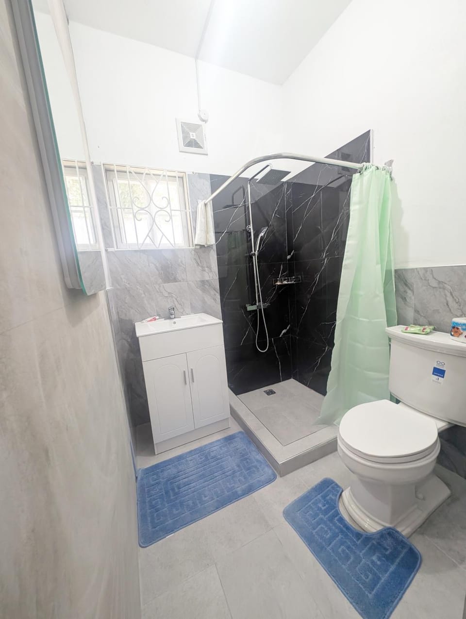 Shower, Toilet