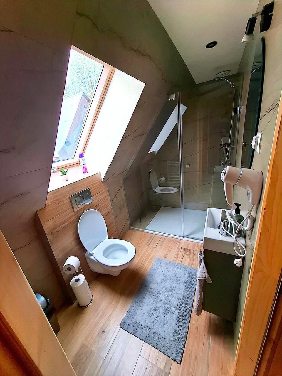 Shower, Toilet, Bathroom