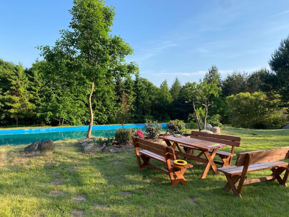 Day, Garden, Garden, Garden view, Pool view