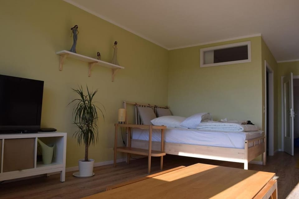 Bed, TV and multimedia