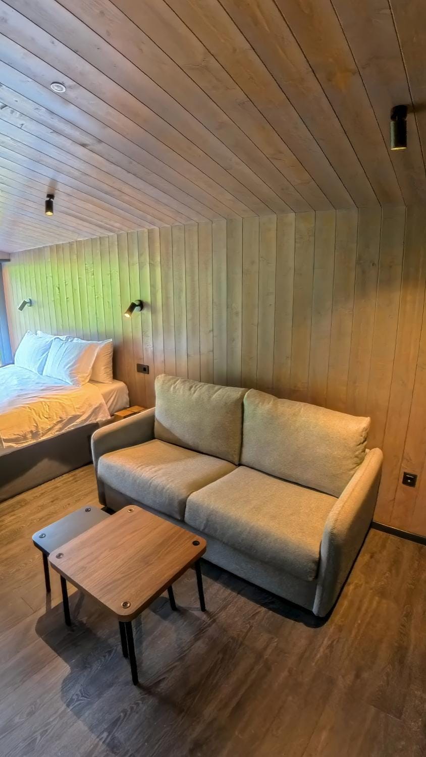 Bed, Living room, Seating area, Bedroom