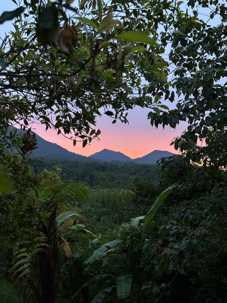 Mountain view, Sunrise
