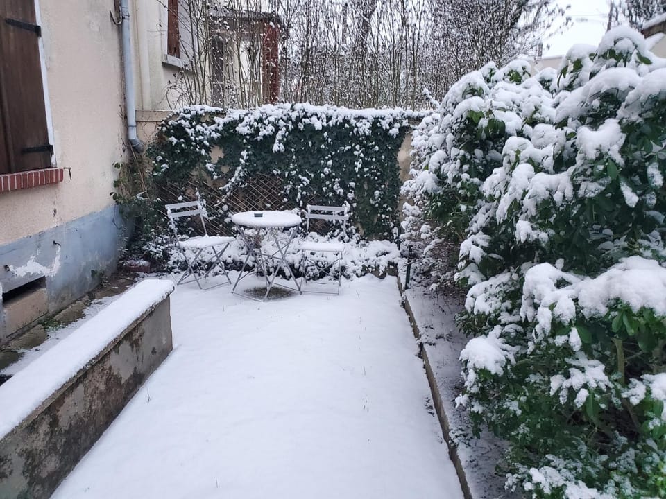 Garden, Garden, Garden view, Garden view