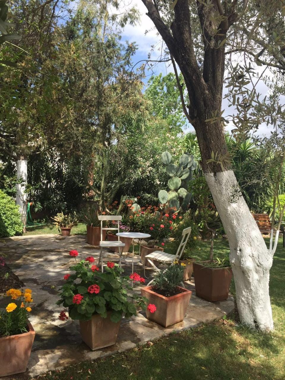 Meis Hotel Apartment hotel in Bodrum