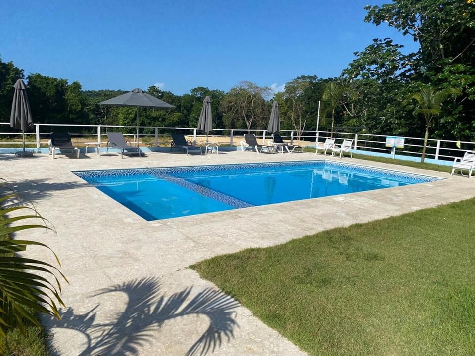 Swimming pool, Swimming pool