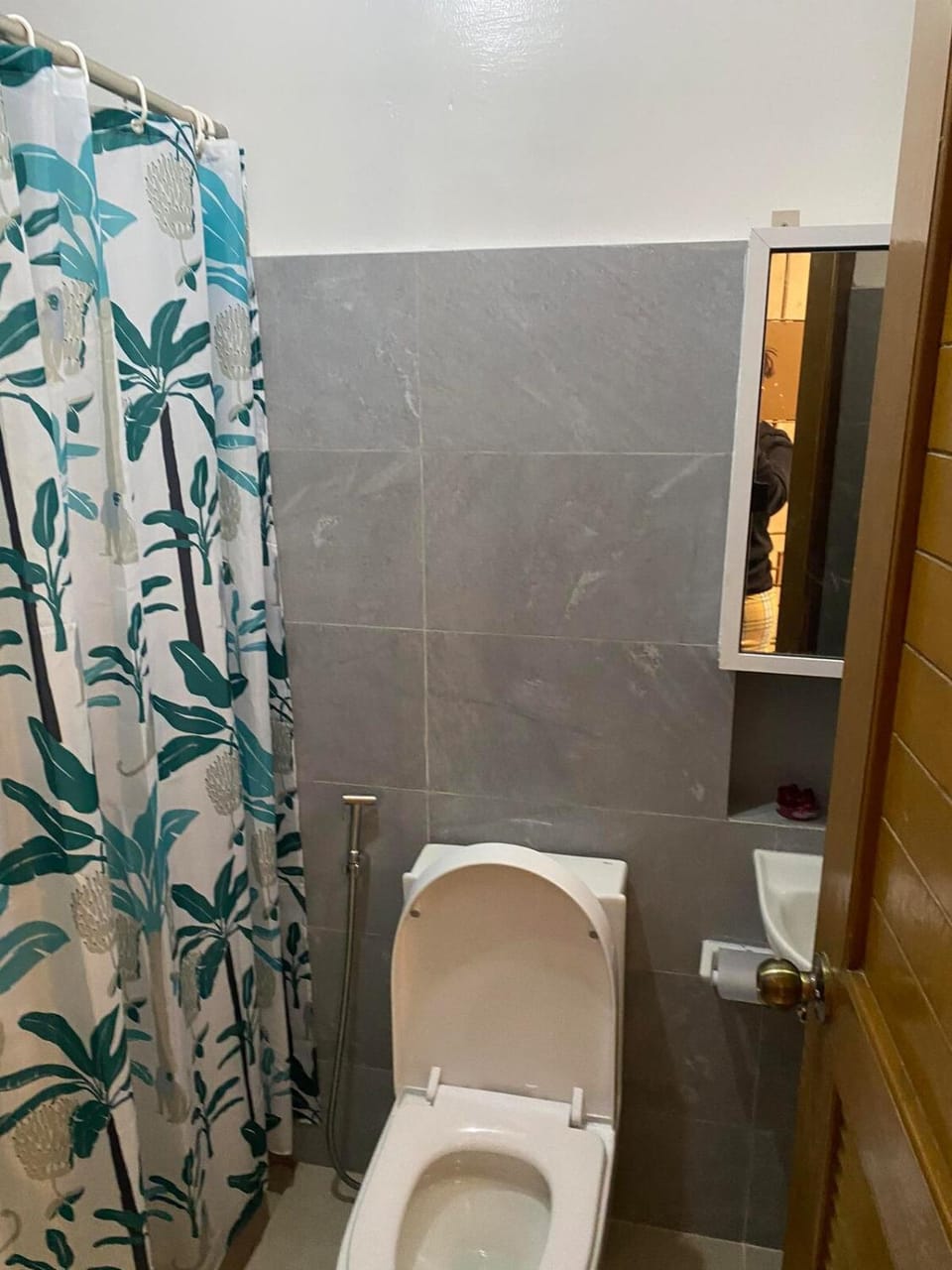 Shower, Toilet, Bathroom, bidet