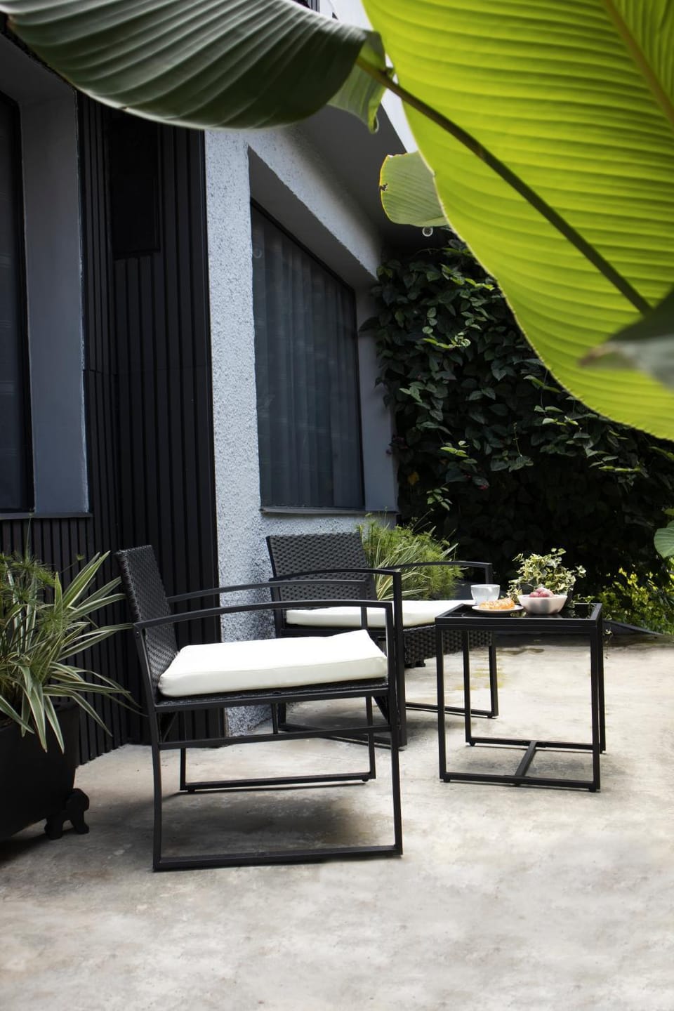 Patio, Spring, Garden, Garden view
