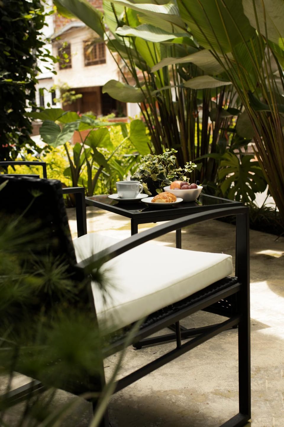 Spring, Garden, Garden view