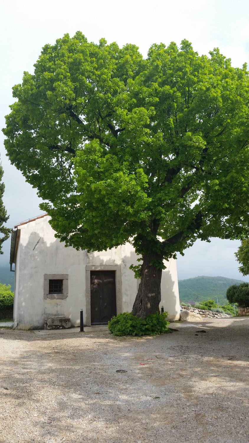 Nearby landmark