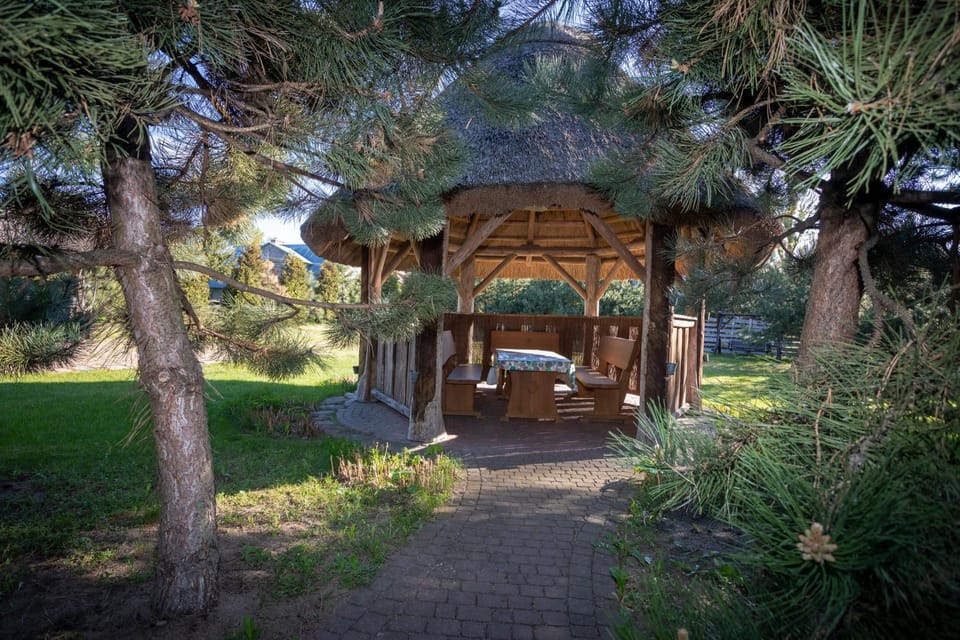 Day, Natural landscape, Seating area