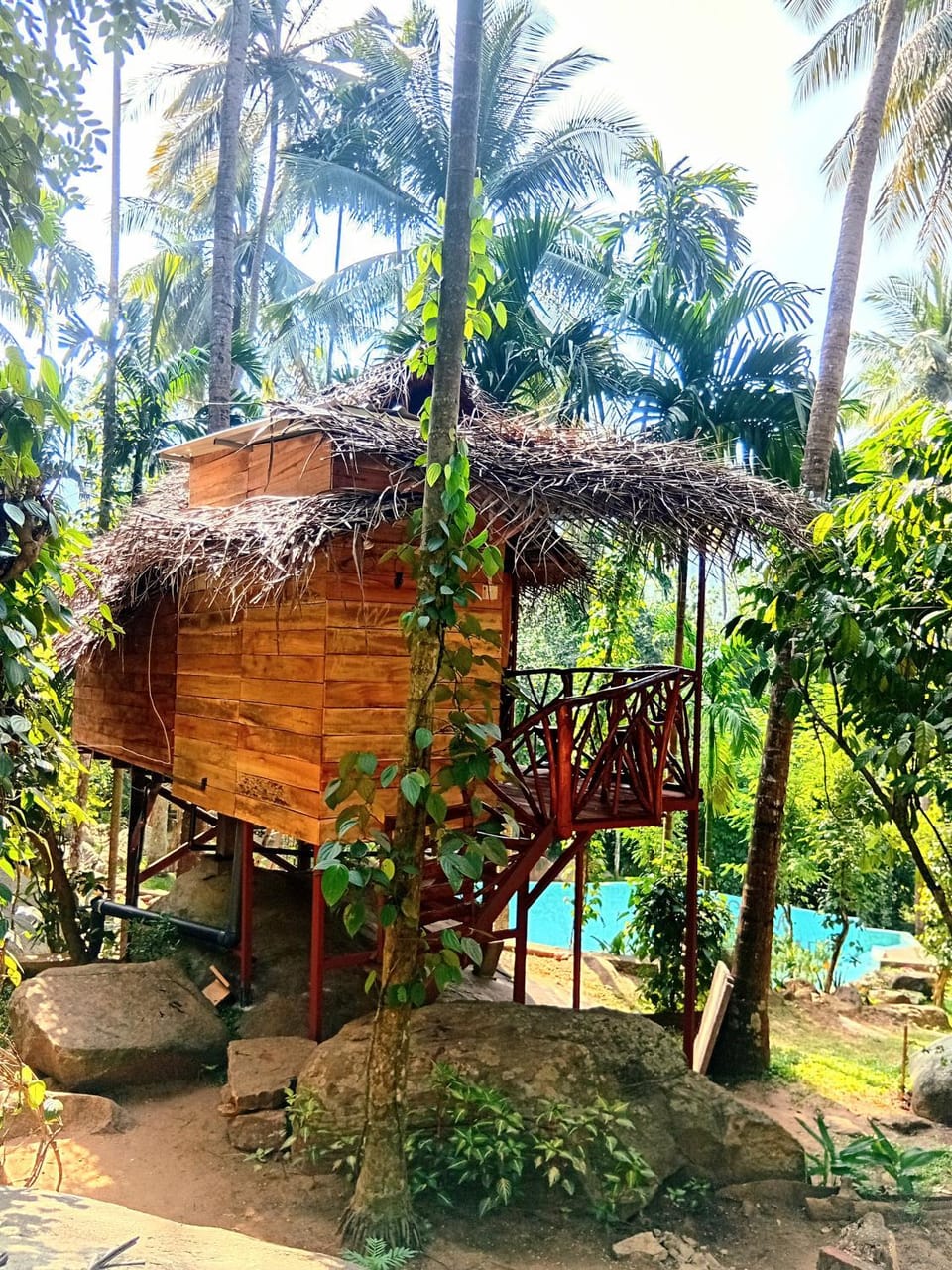 Property building, Natural landscape, Garden, Garden view, Pool view, Swimming pool