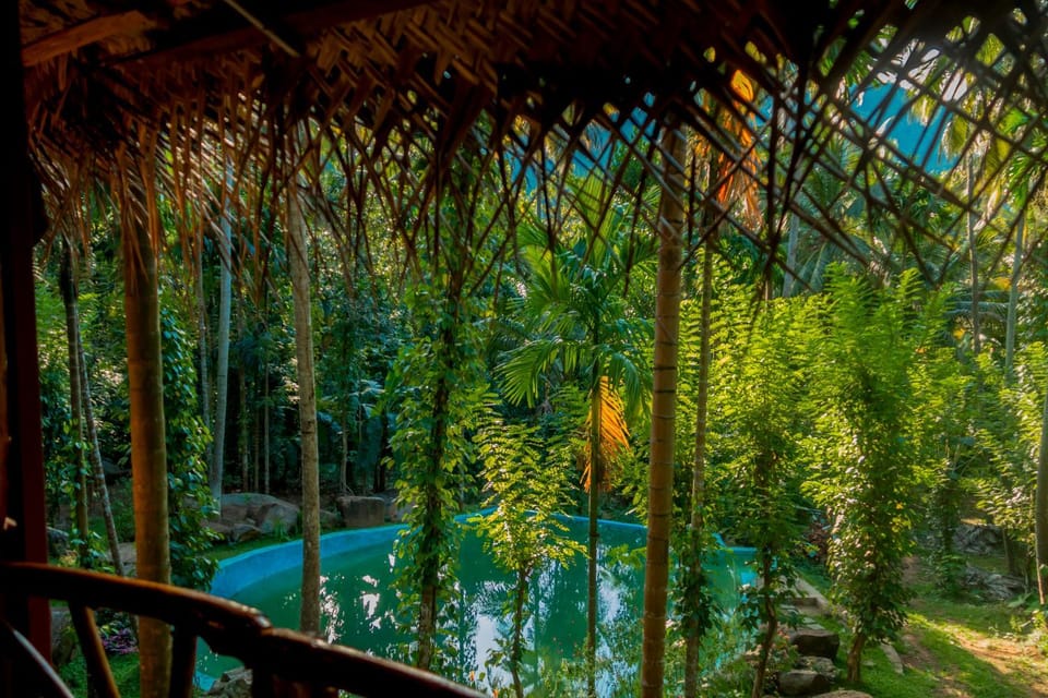 Garden, Swimming pool