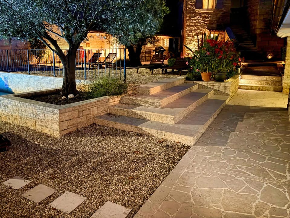 Night, Garden, Garden view