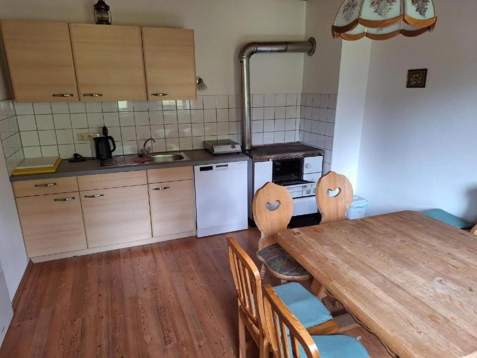 Kitchen or kitchenette, dishwasher, oven, stove