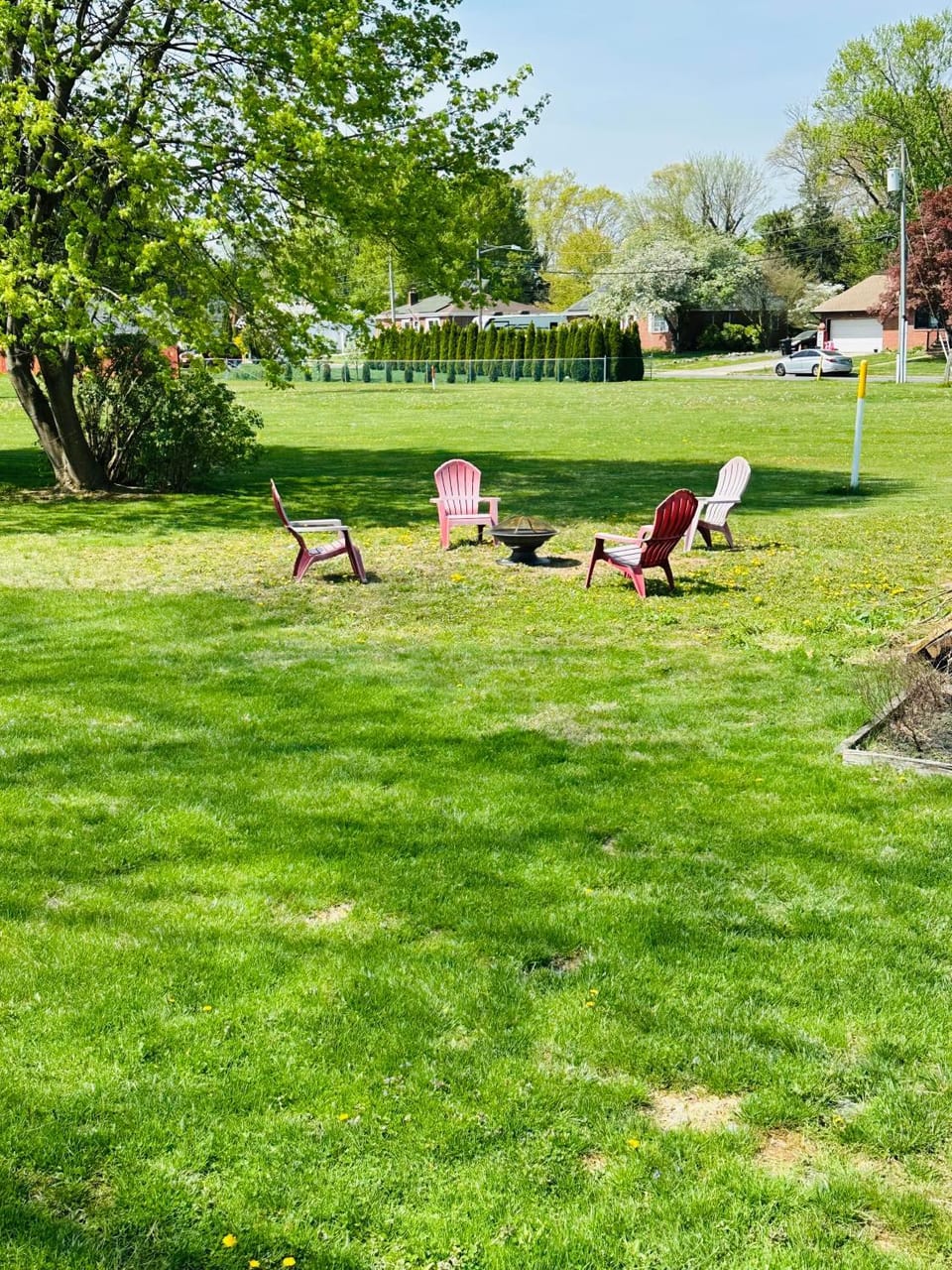 Natural landscape, Garden, Garden view, sunbed