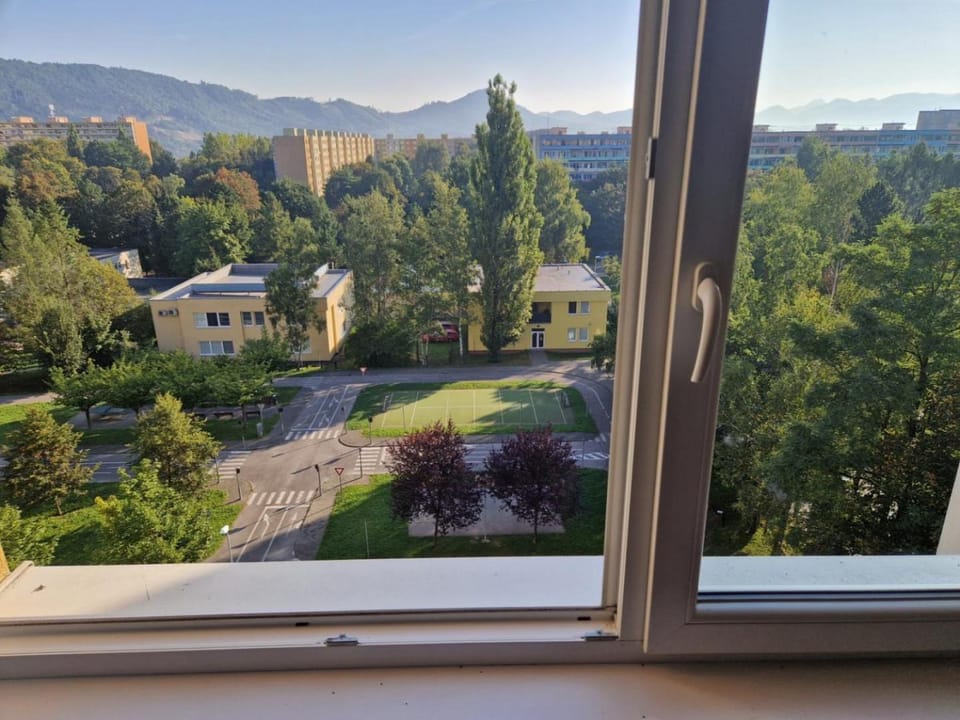 City view