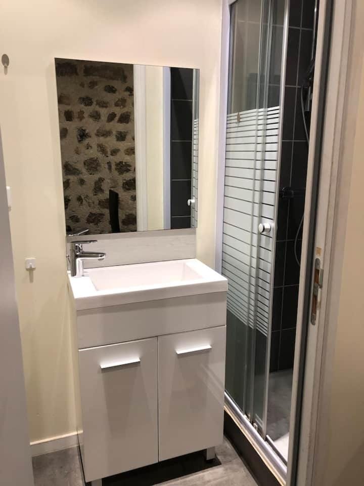 Studio lumineux au 1er étage Apartment in Auvergne-Rhône-Alpes