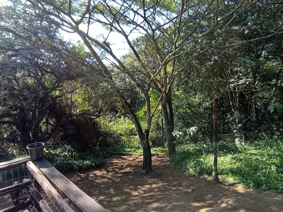 Natural landscape, Garden, Garden, Garden view