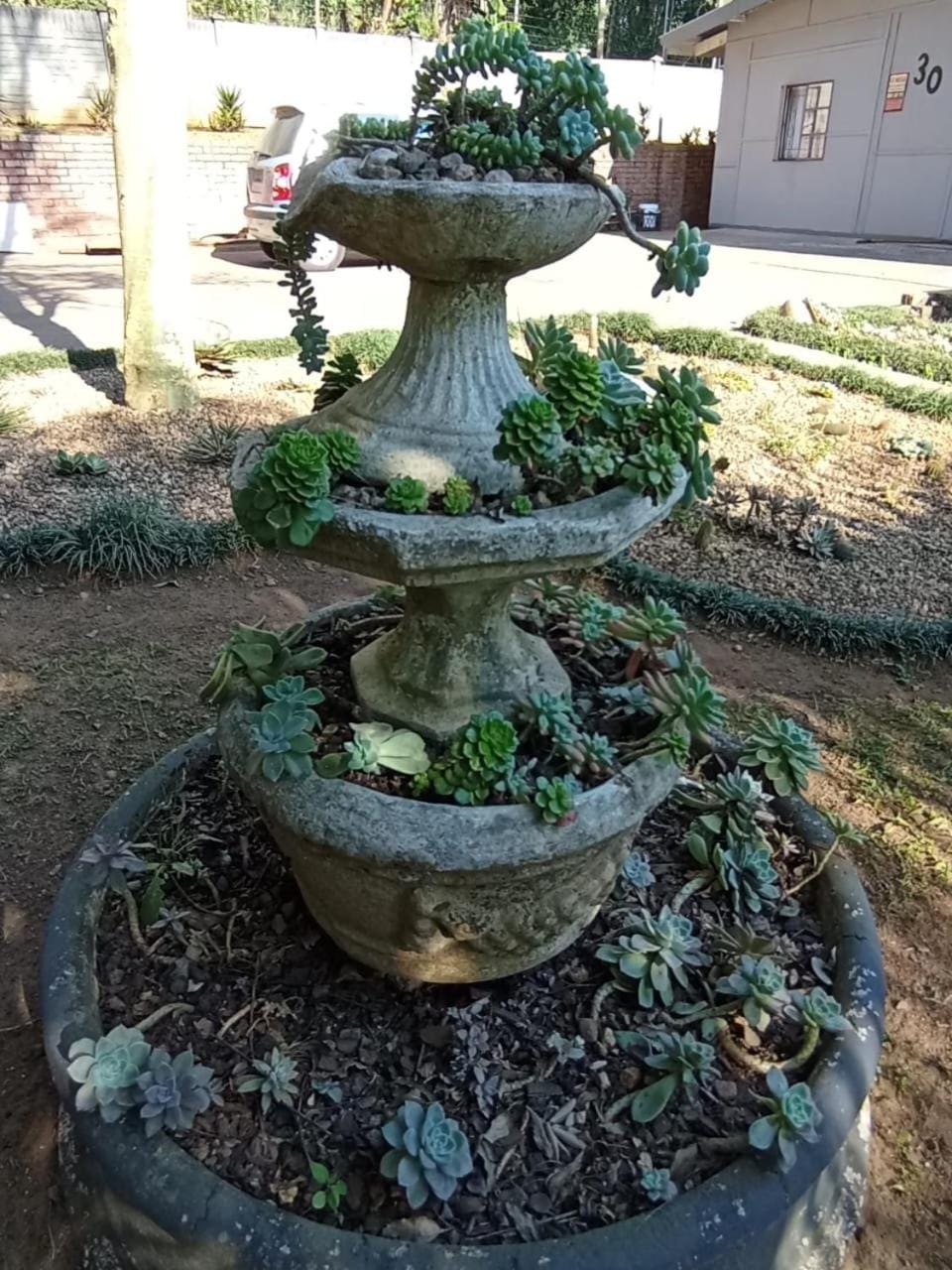 Garden, Garden