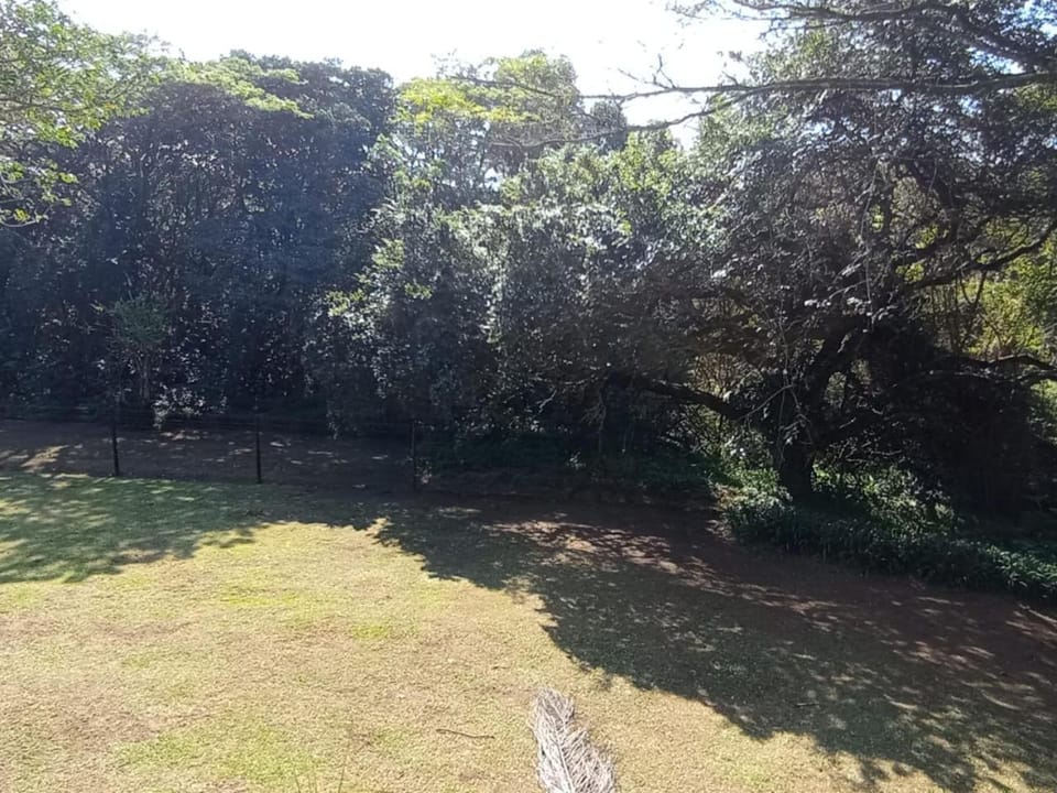 Natural landscape, Garden, Garden view