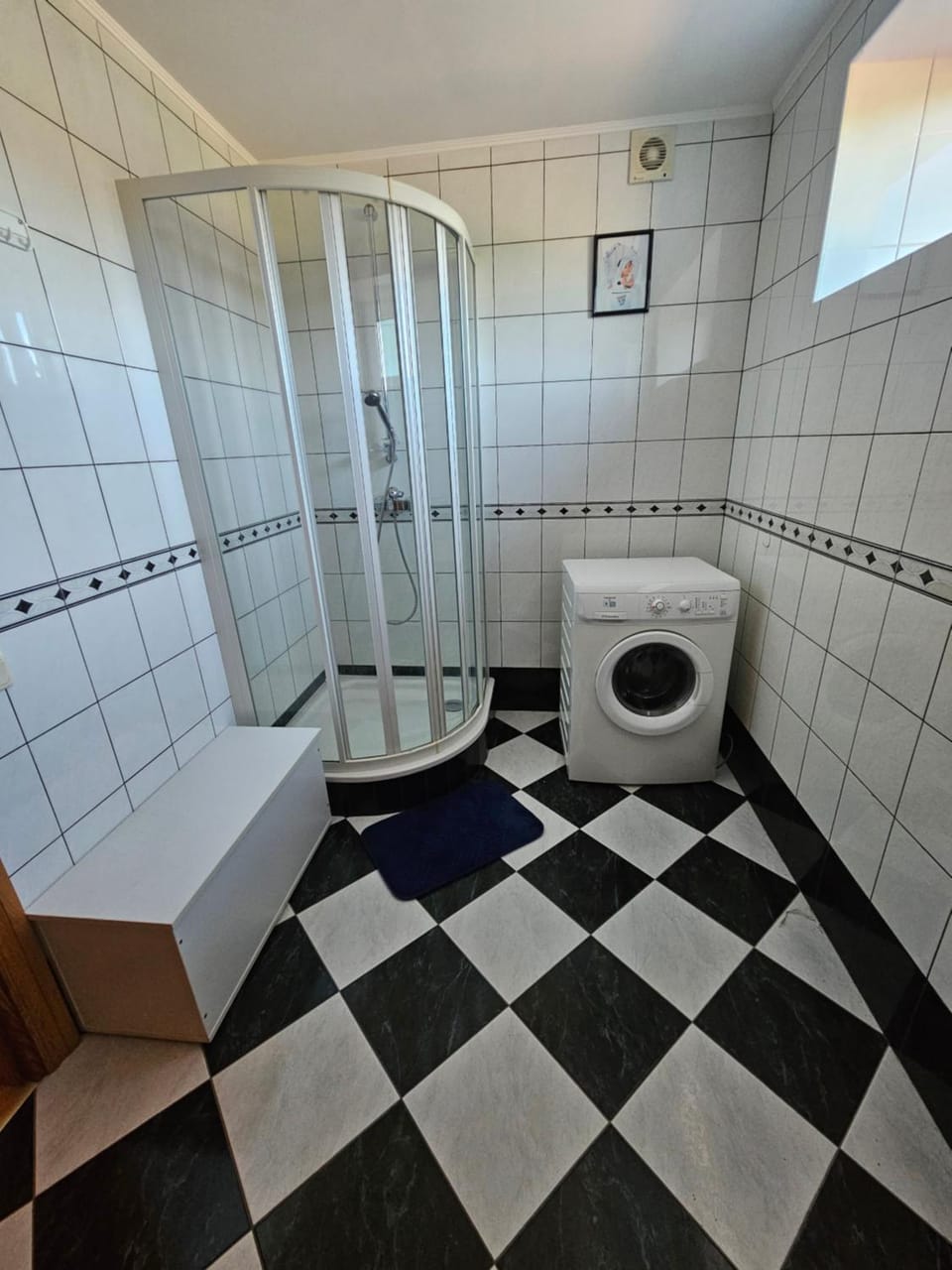 Shower, Bathroom, washing machine