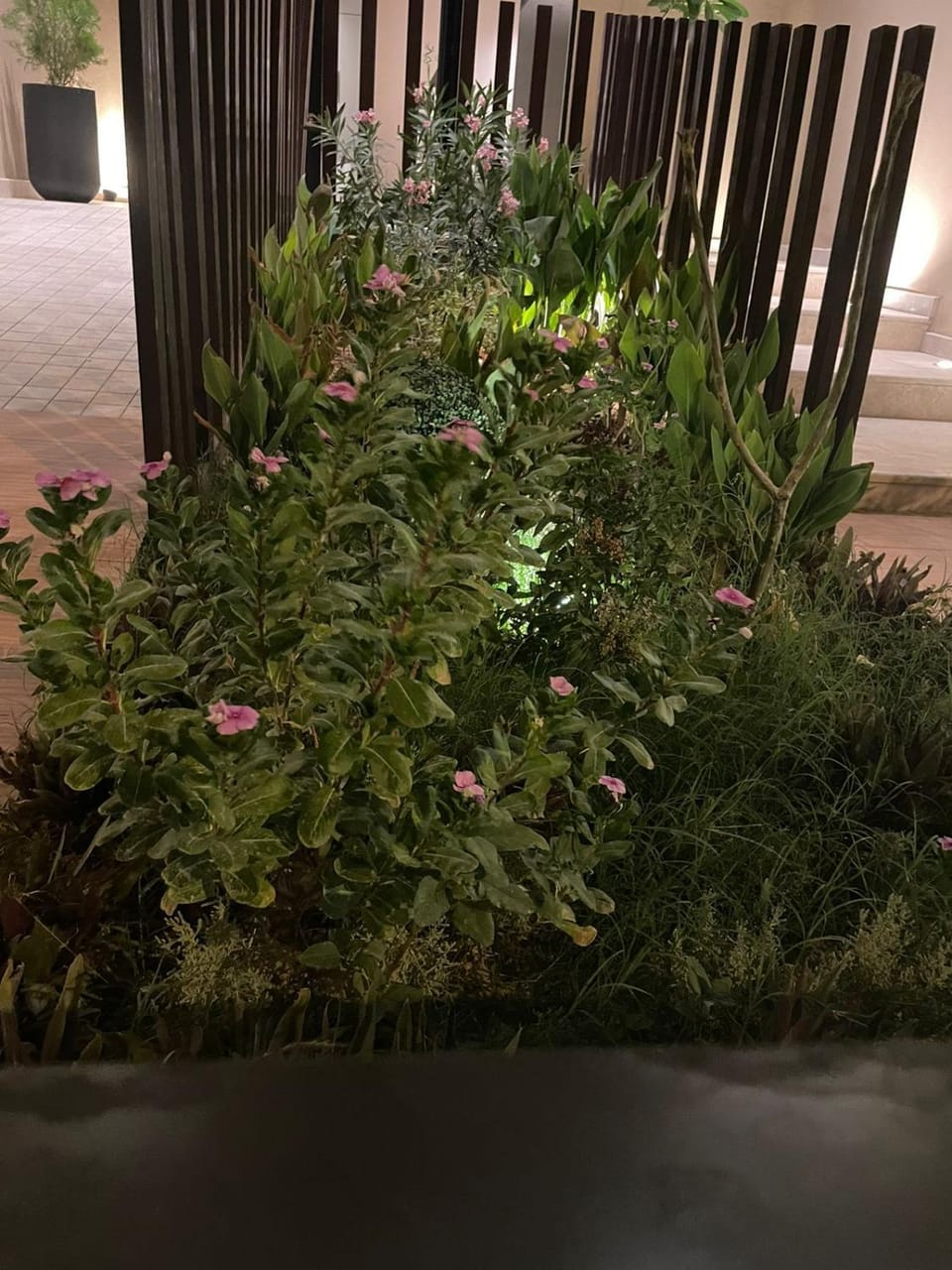 Spring, Night