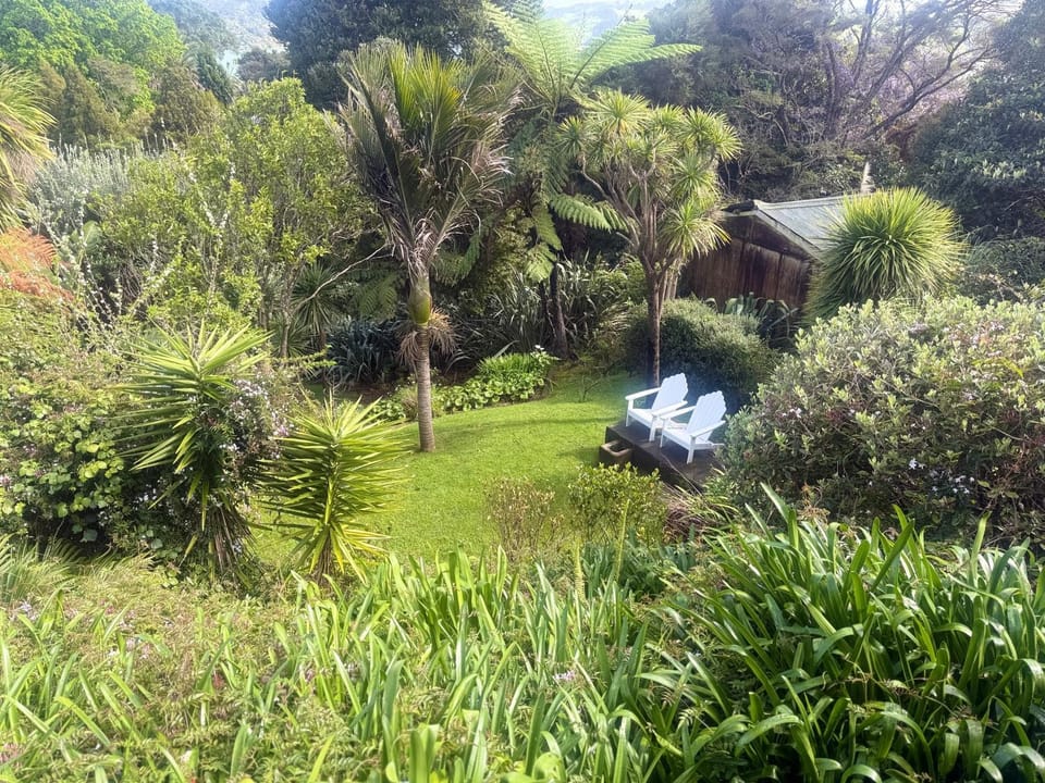 Garden view