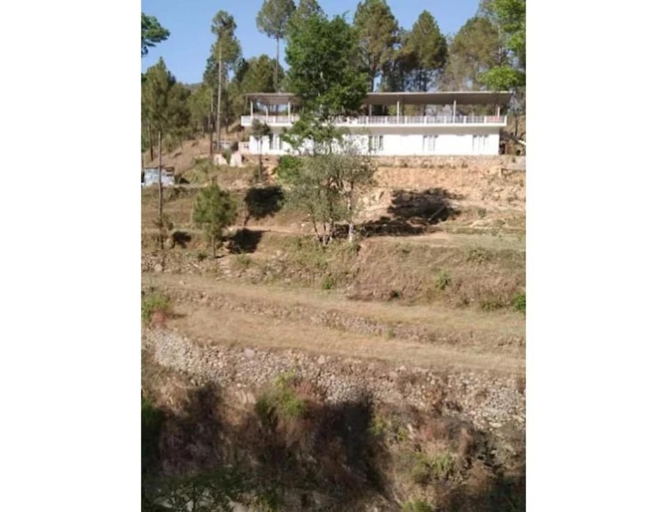 Property building, Spring, Day, Natural landscape, Garden, Garden view