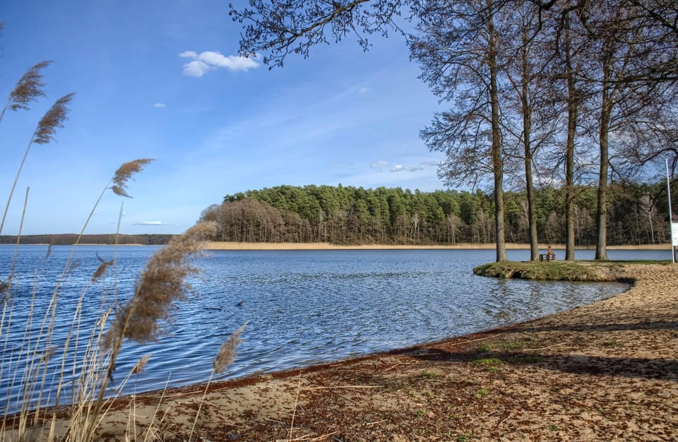 Lake view