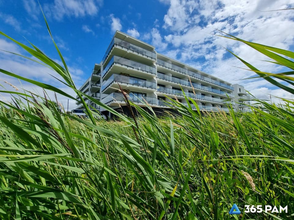 Property building, Spring, Day, Natural landscape