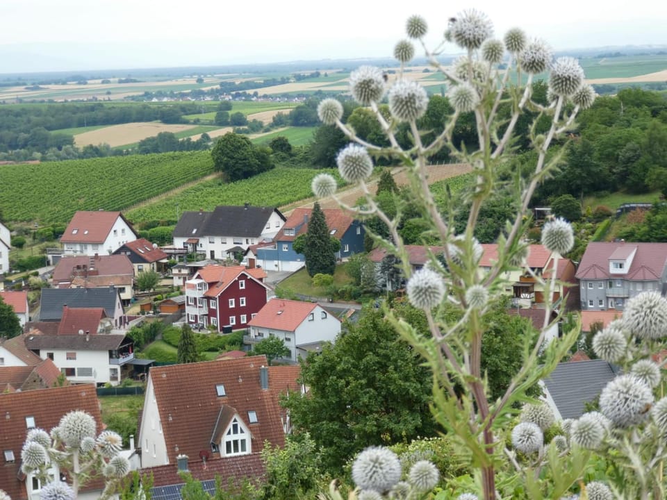 FeWoSchwedenhaus Apartment in Rhineland-Palatinate