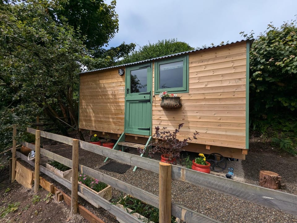 Myndy The Shepherd's Hut Nature lodge in Wales